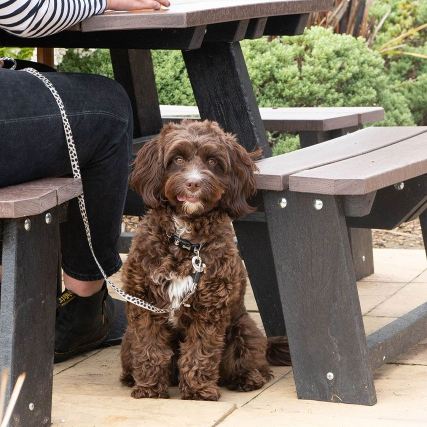 Your local dog friendly pub in Skelmersdale